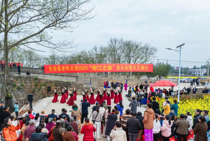 屏幕截图 2025-03-17 155201.png