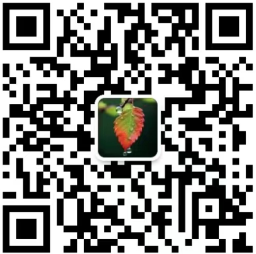 屏幕截图 2025-03-20 111752.png